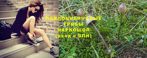 дурь Абдулино