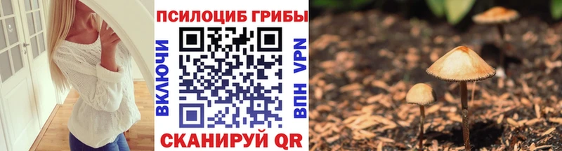 цена   Воронеж  mega зеркало  Псилоцибиновые грибы мицелий 